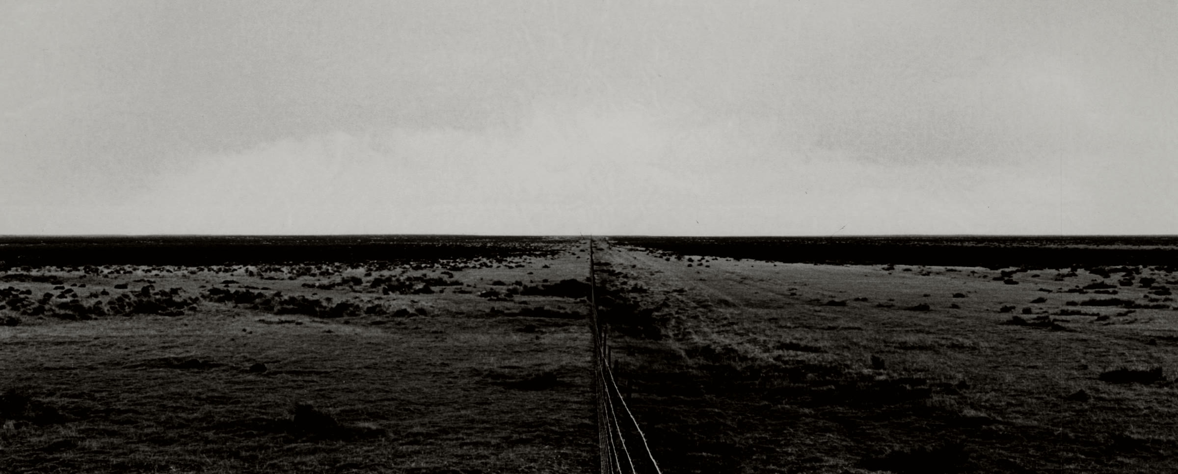 A fence line running straight to the horizon across an empty plain.