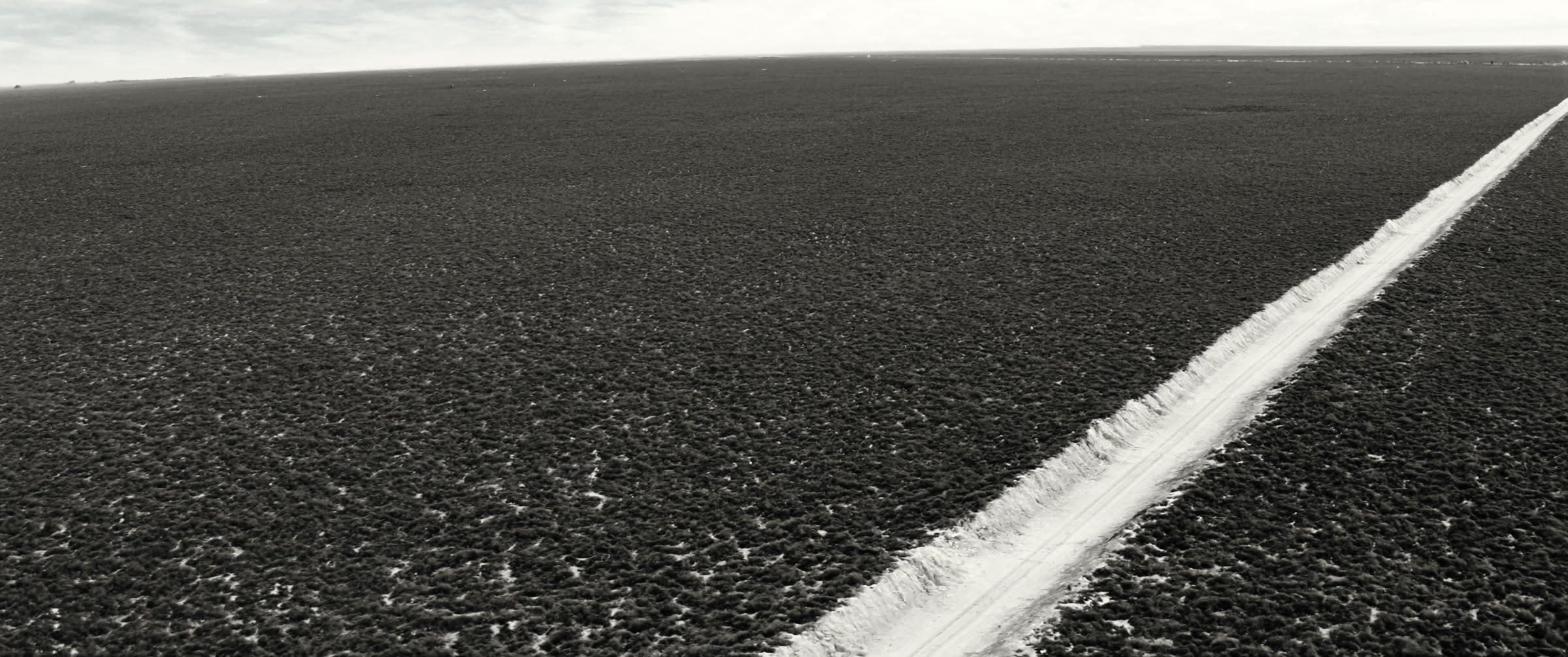 A caliche road cutting a diagonal across open scrub, seen from the air.