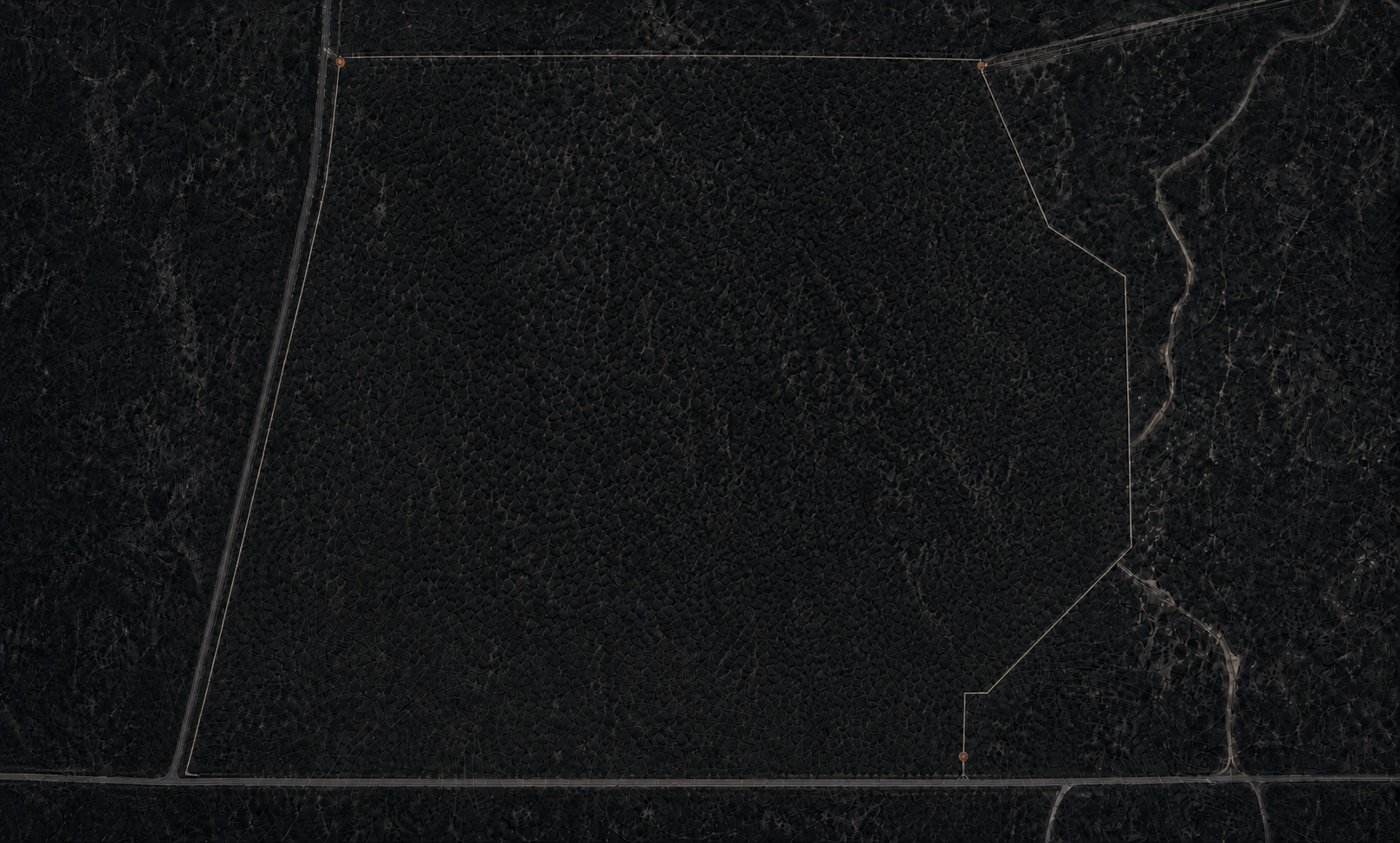 Orthophoto of a wooded tract at night grade, its parcel boundary drawn as a thin ochre polygon with survey points at the corners, a county road along the south edge and a creek running down the east side.